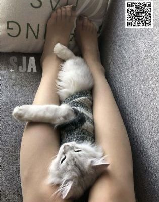 尹海英