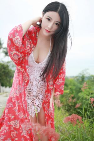 狂野少女电视剧免费播放